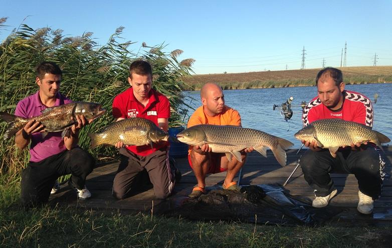 Lazar - toate-speciile-de-pesti-la-lazar.JPG